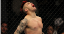 Interviews With All the UFC 146 Winners