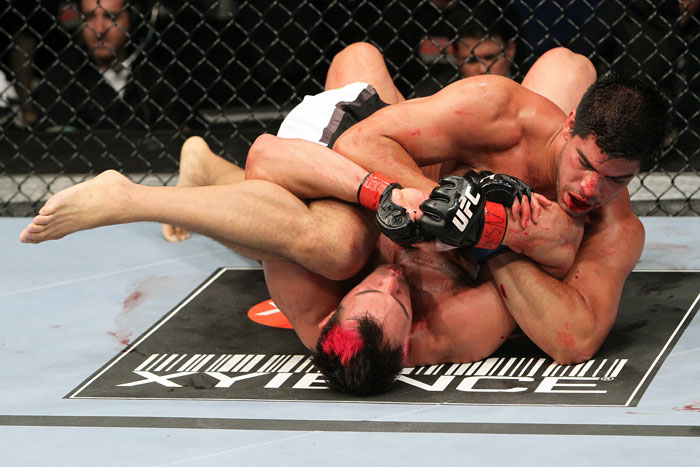 Petruzelli vs. Romero