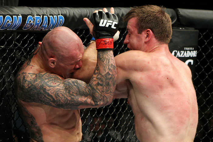 Krzysztof Soszynski vs. Stephan Bonnar