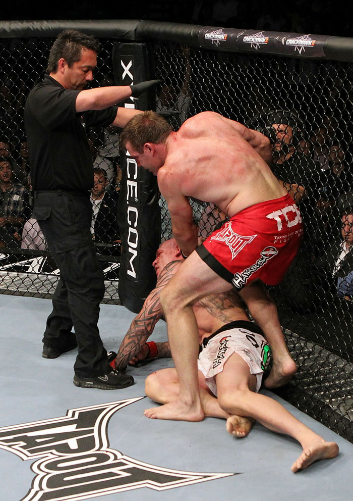 Krzysztof Soszynski vs. Stephan Bonnar