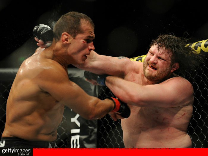 Nelson vs. dos Santos