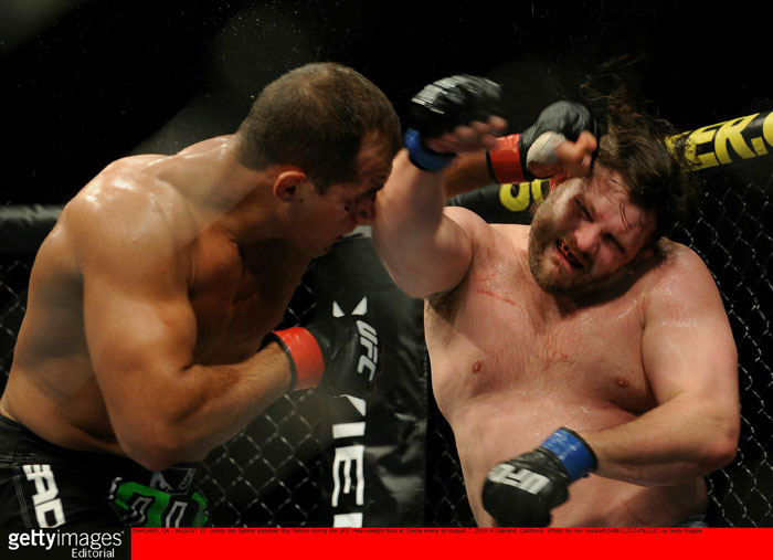 Nelson vs. dos Santos