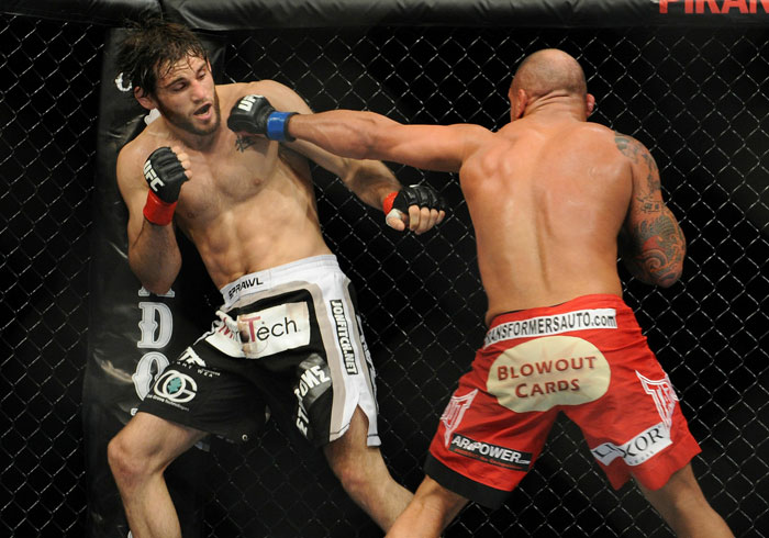 Fitch vs. Alves