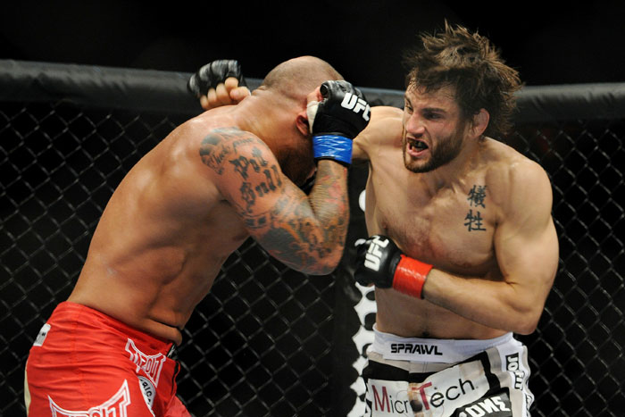 Fitch vs. Alves
