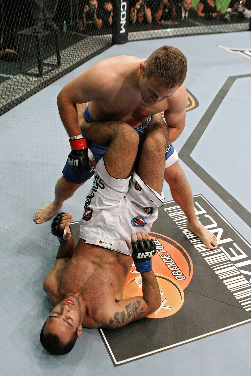 UFC118 Pierce vs. Alves