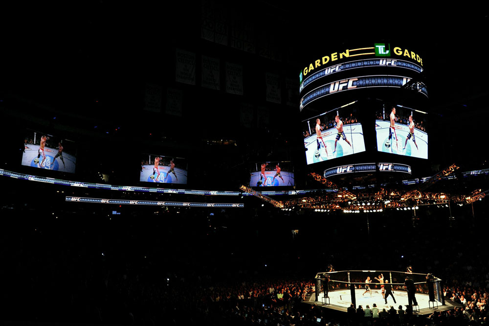 UFC 118 Diaz vs. Davis