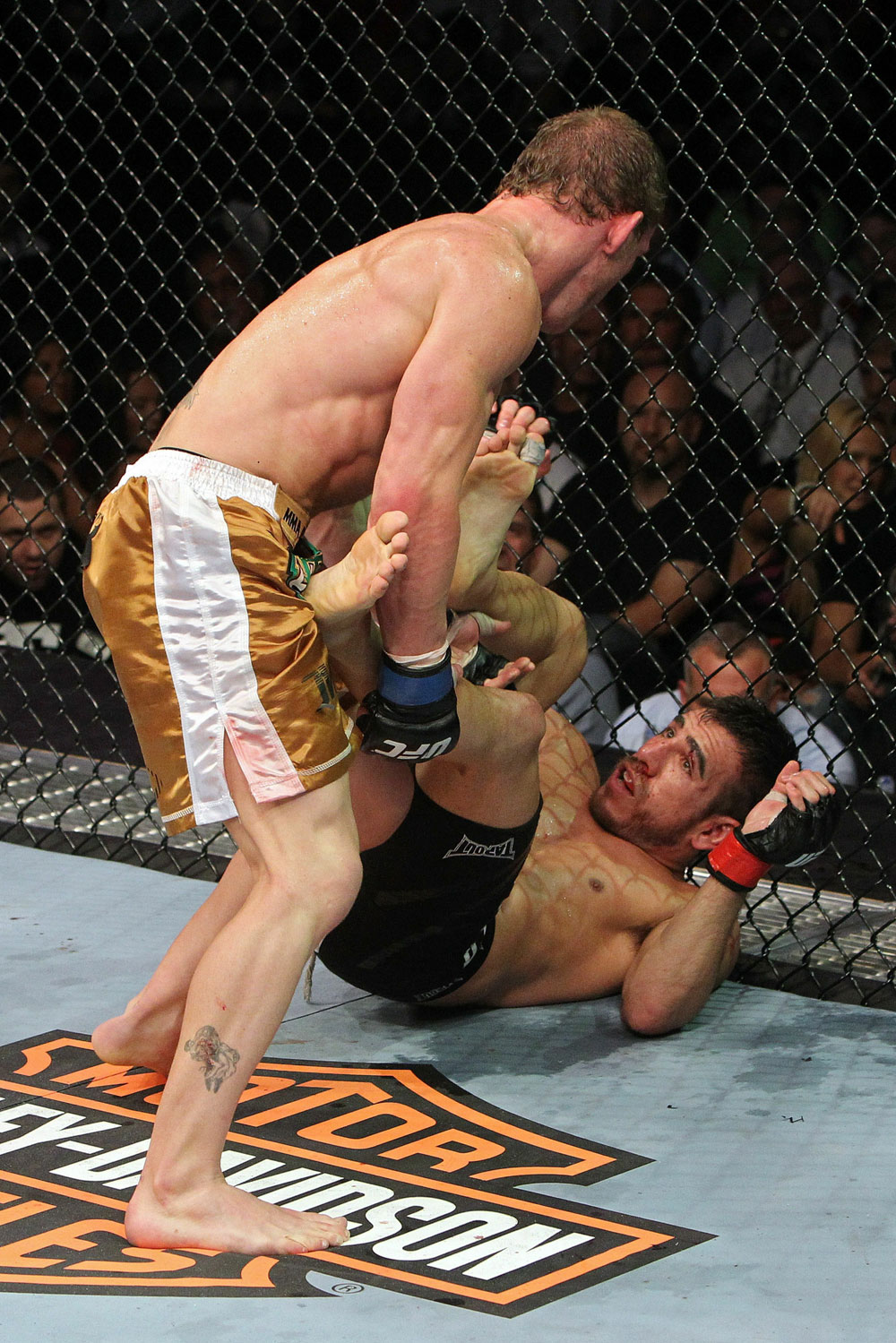 UFC 118 Florian vs. Maynard
