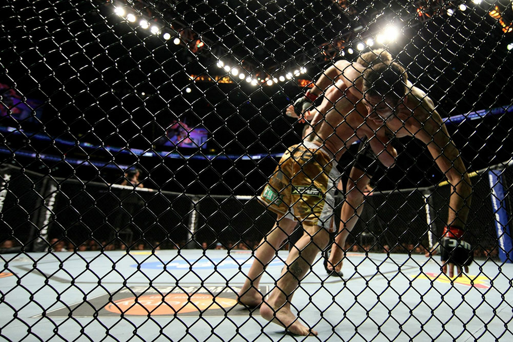 UFC 118 Florian vs. Maynard