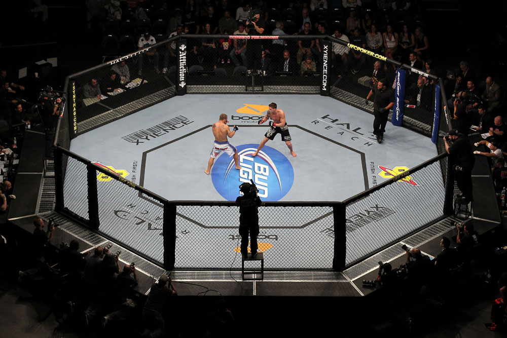 UFC 119: Lopez vs. Lowe
