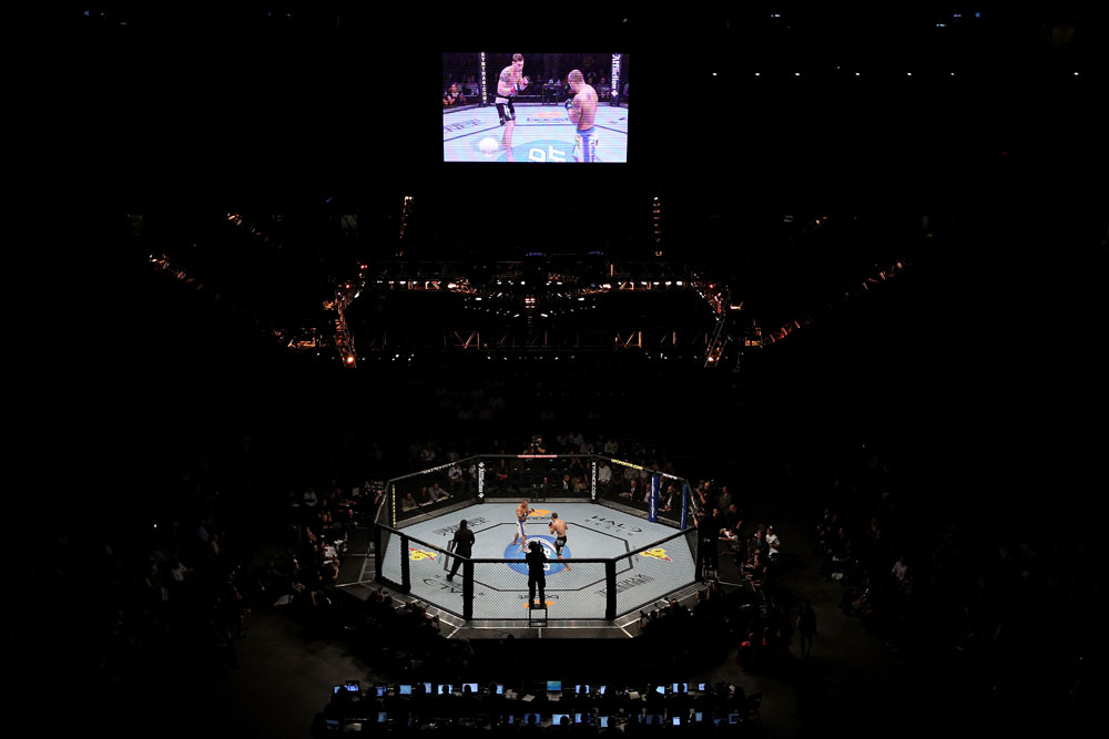 UFC 119: Lopez vs. Lowe