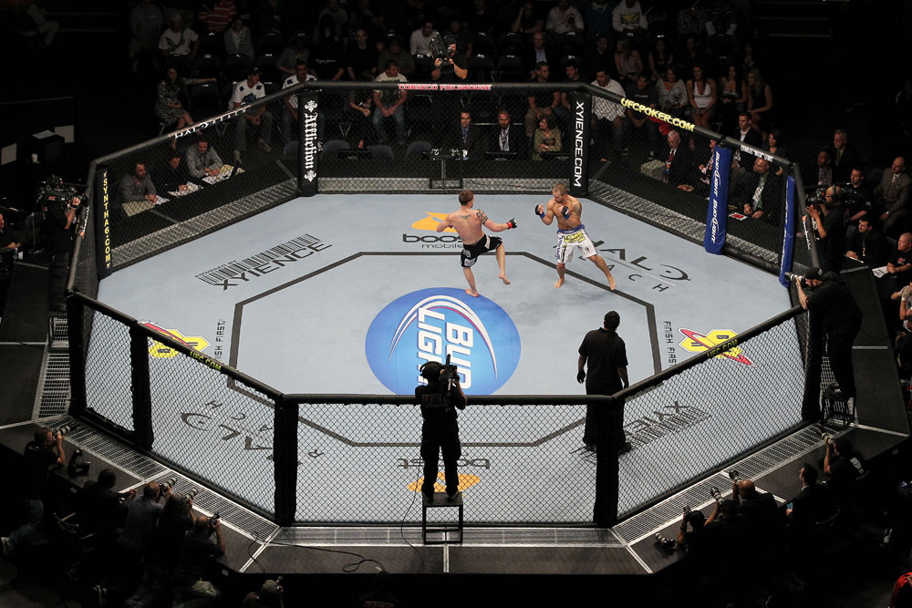 UFC 119: Lopez vs. Lowe
