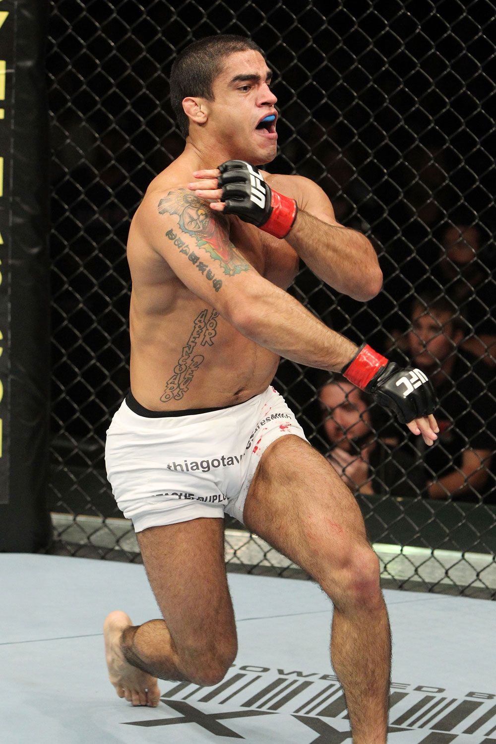UFC 119: Tavares winner