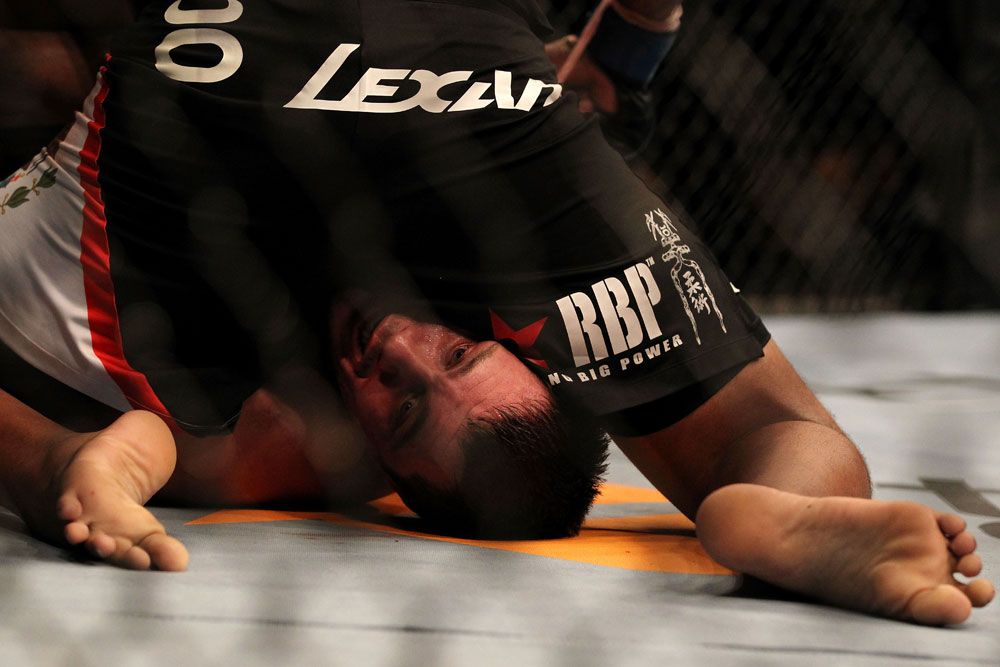 UFC 119: Mitrione vs. Beltran