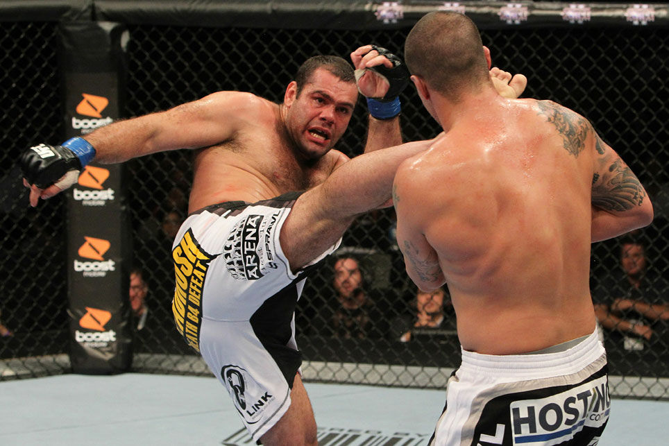 Brendan Schaub vs Gabriel Gonzaga