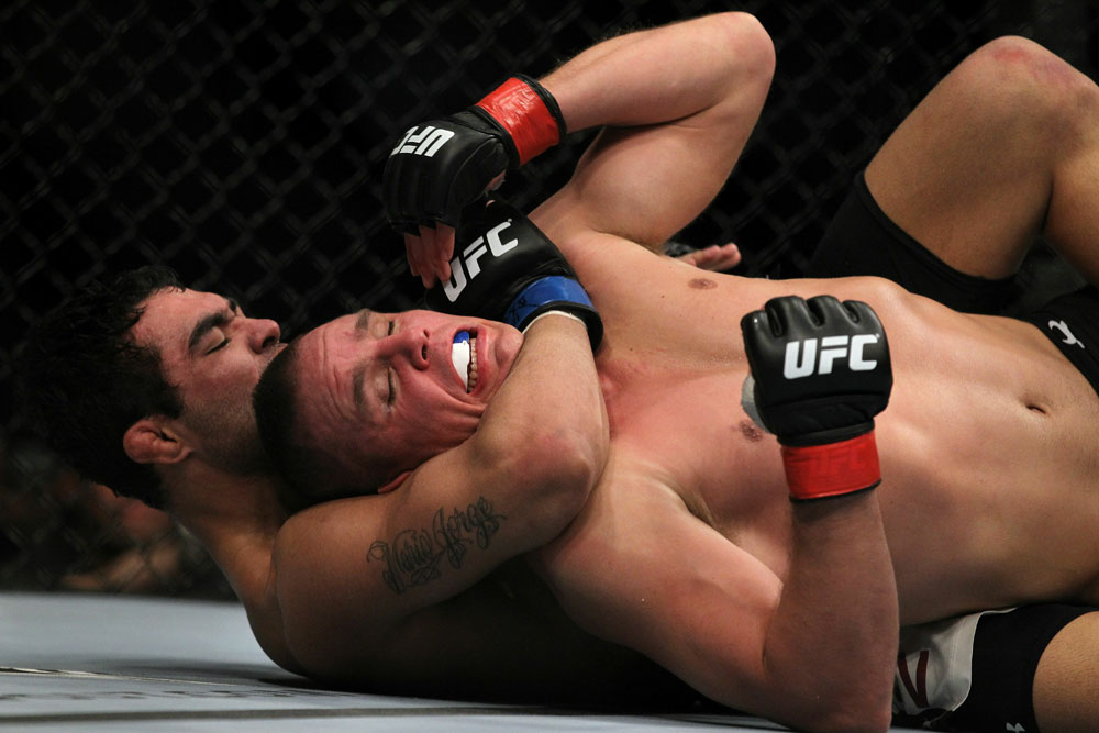 UFC 124: Bongfeldt vs. Natal