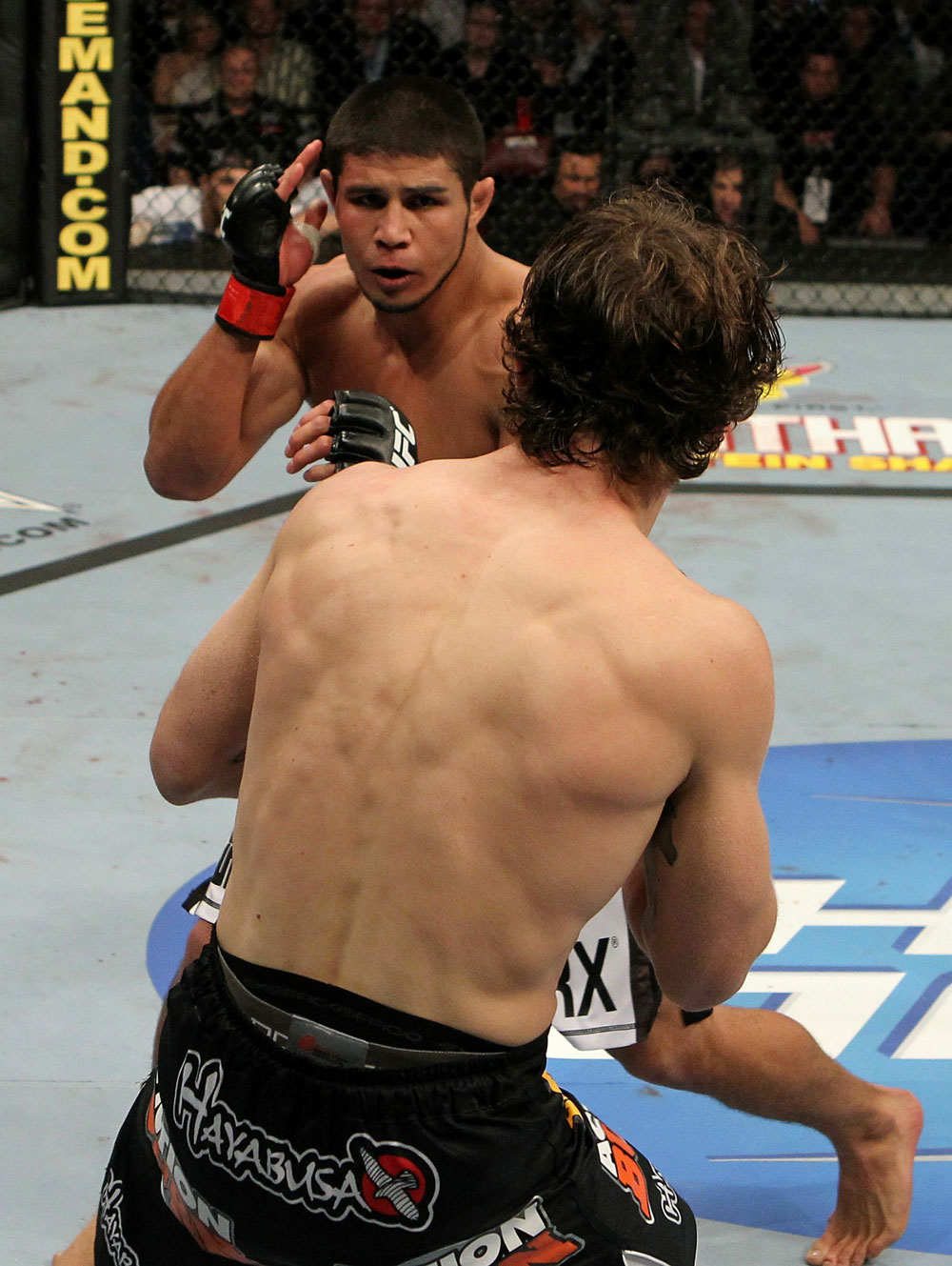 UFC 124: Stevenson vs. Danzig