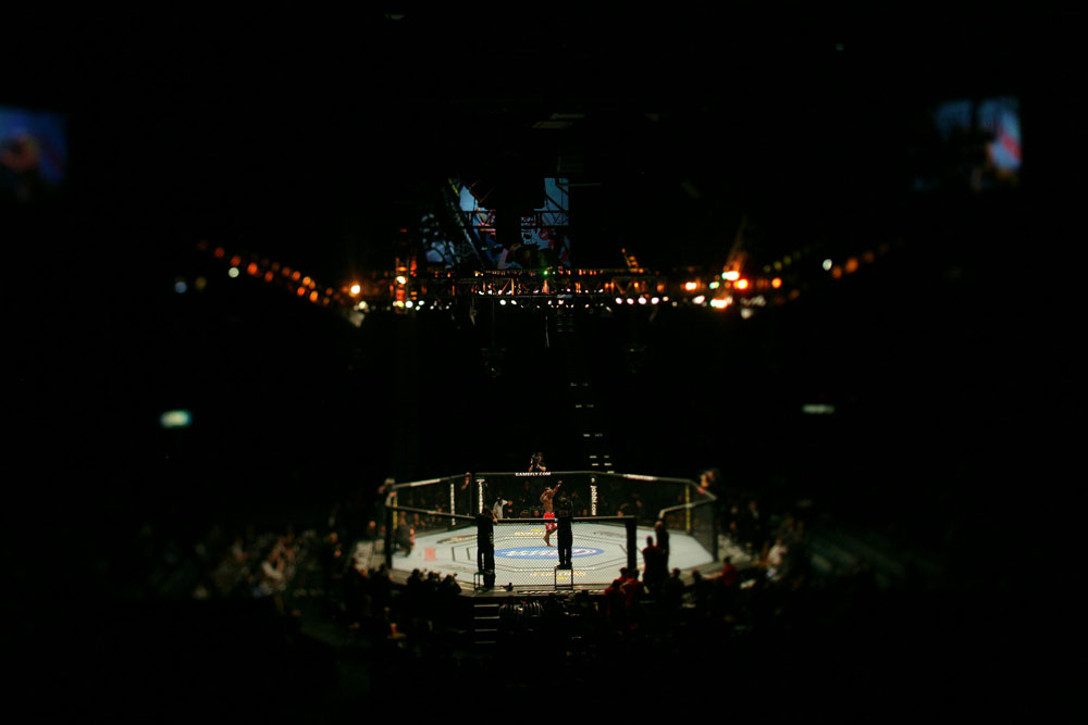 UFC 125: Roberts celebrates his victory over Soto.