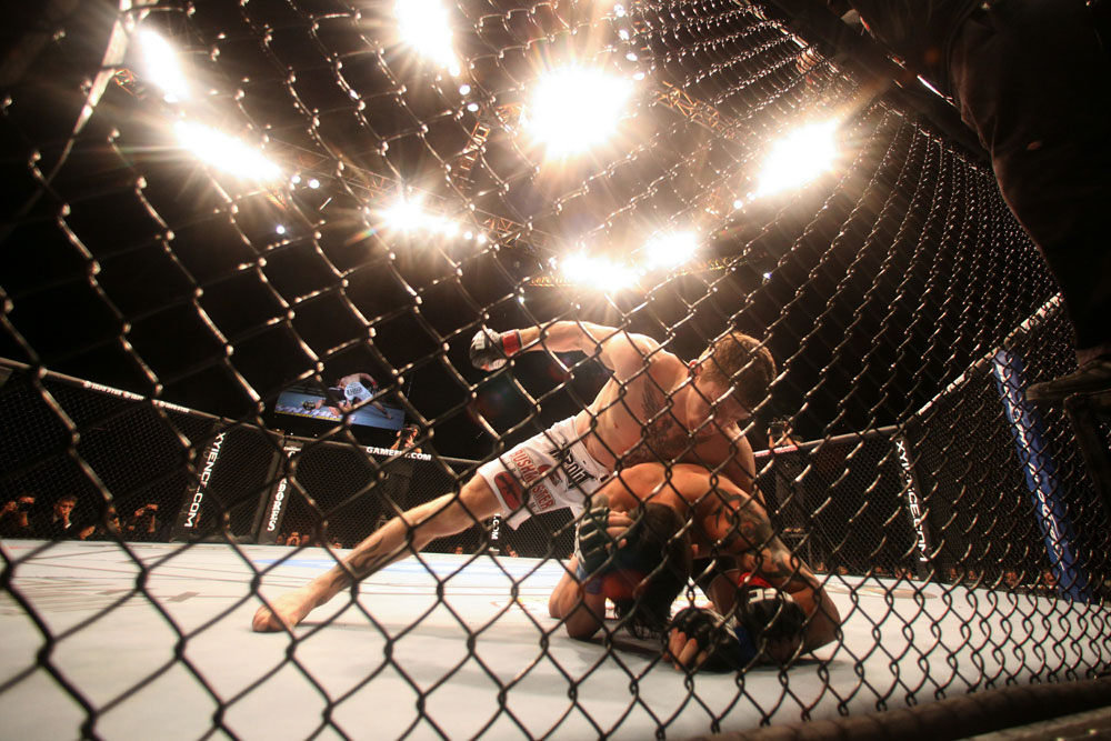 UFC 125: Brown vs. Nunes