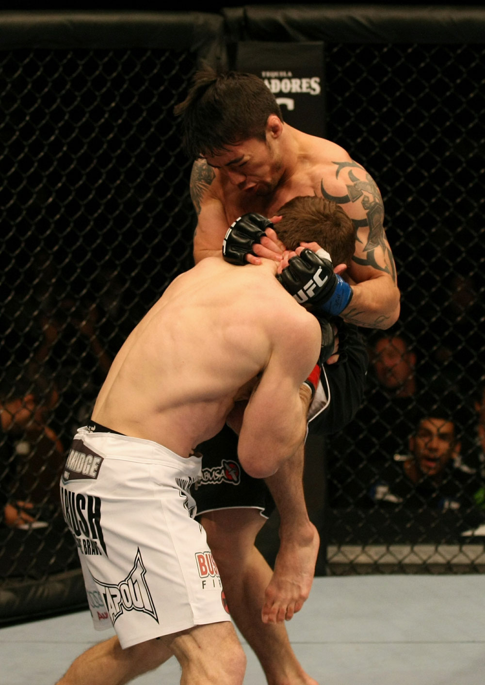 UFC 125: Brown vs. Nunes