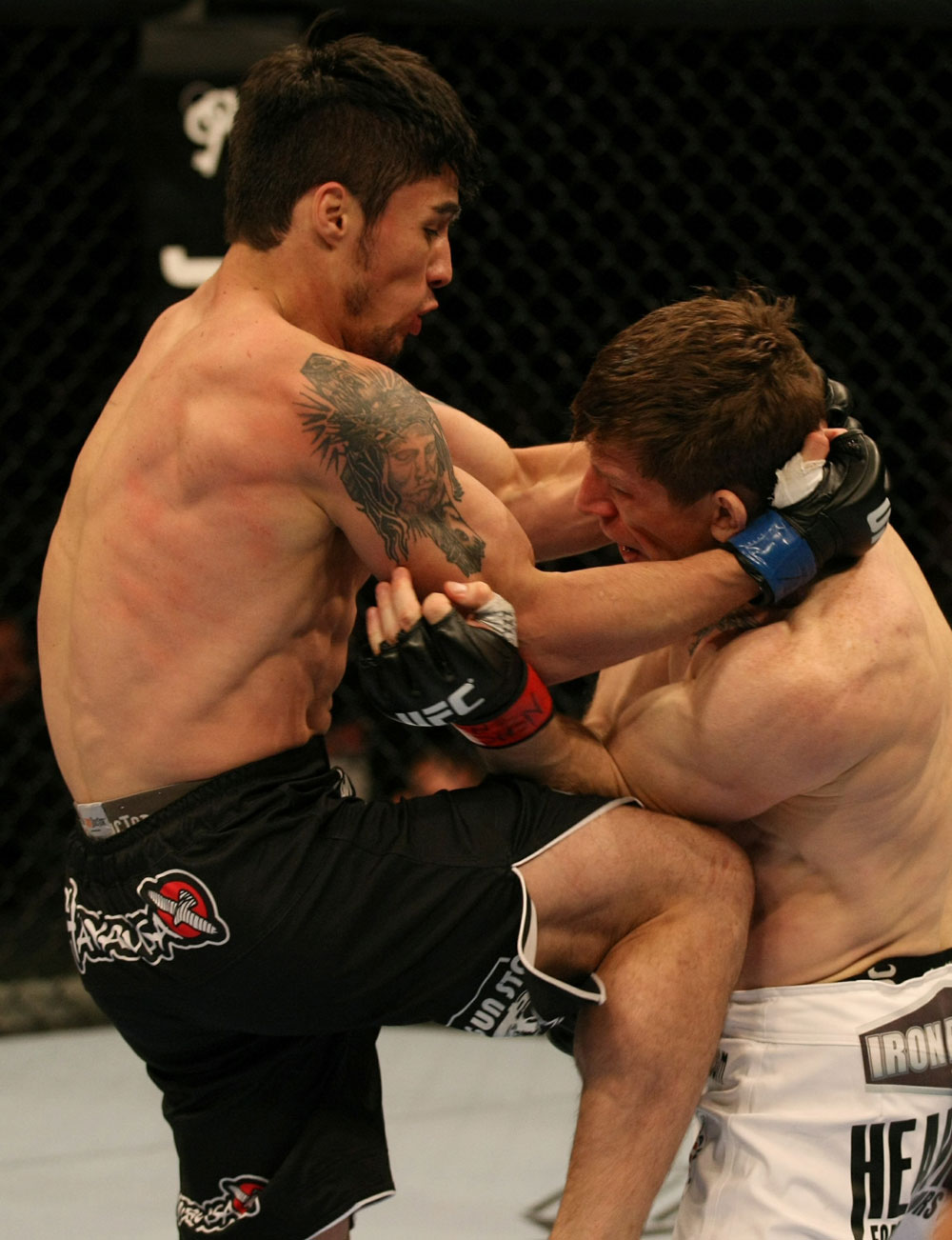 UFC 125: Brown vs. Nunes