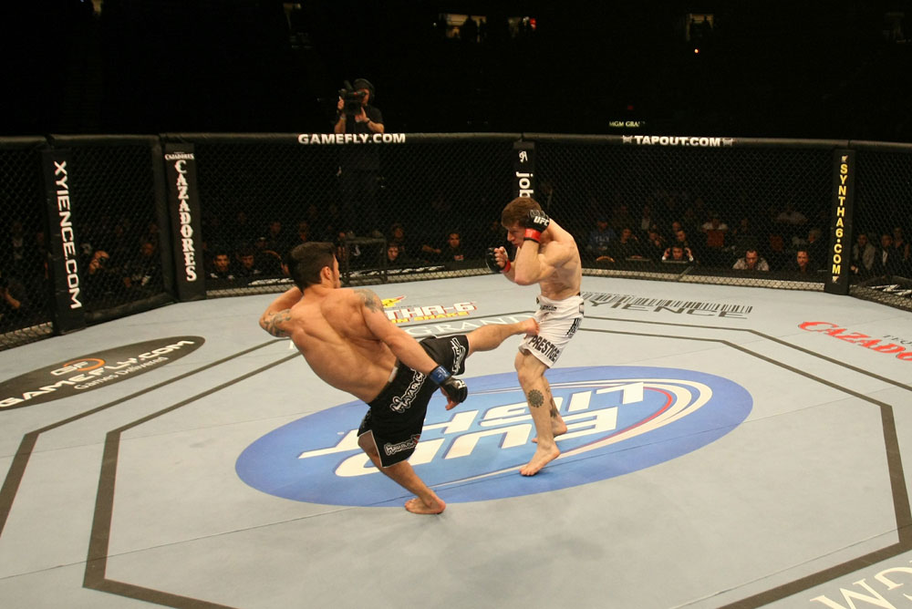 UFC 125: Brown vs. Nunes