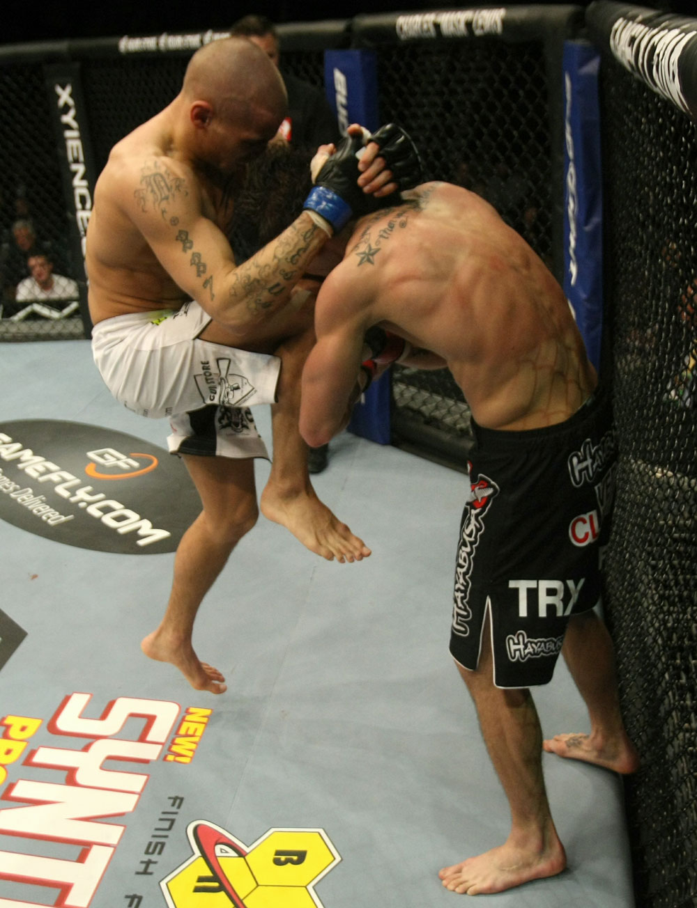 UFC 125: Grispi vs. Poirier