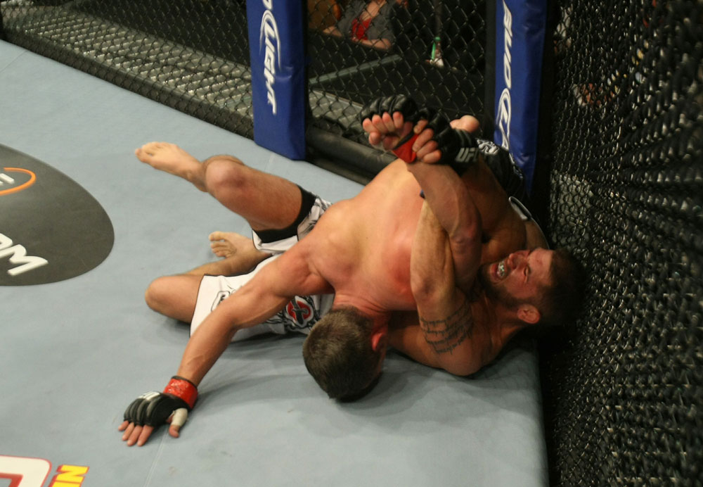 UFC 125: Davis vs. Stephens