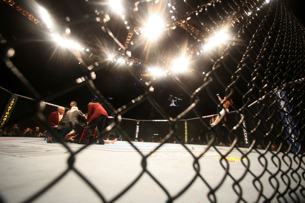 UFC 125: Jeremy Stephens celebrates his victory over Marcus Davis.