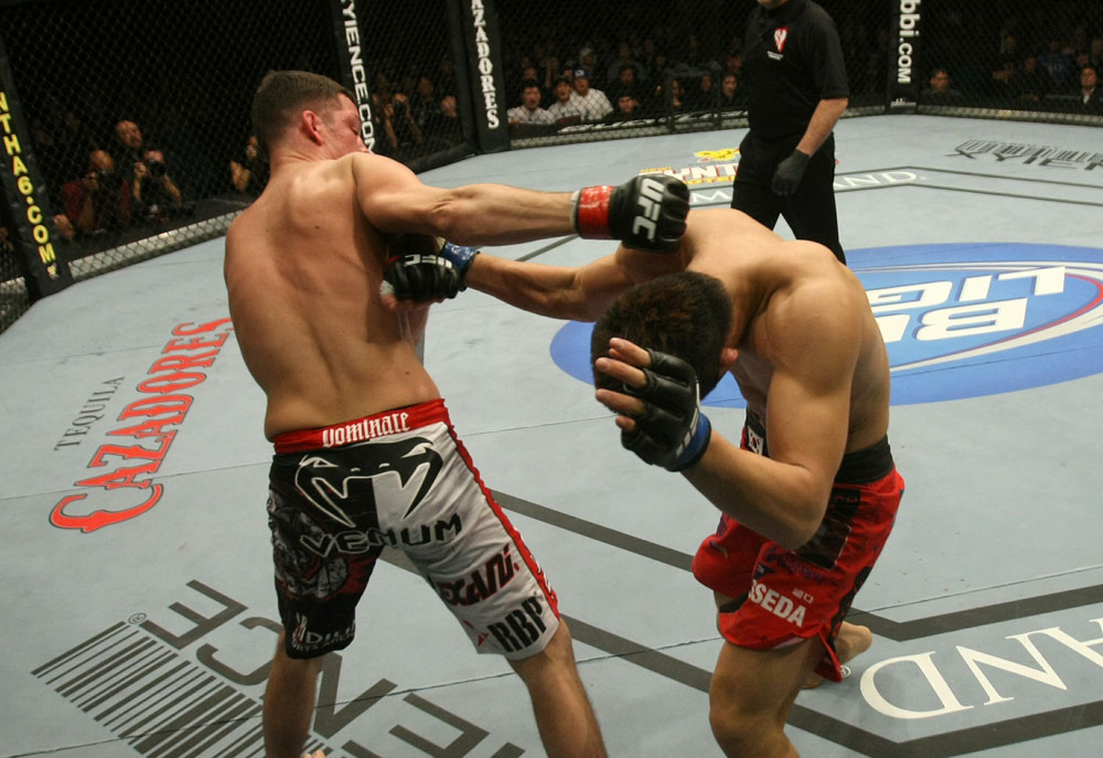 UFC 125: Diaz vs. Kim