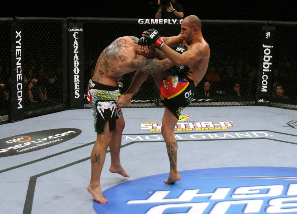 UFC 125: Vera vs. Silva