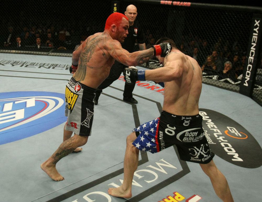 UFC 125: Leben vs. Stann