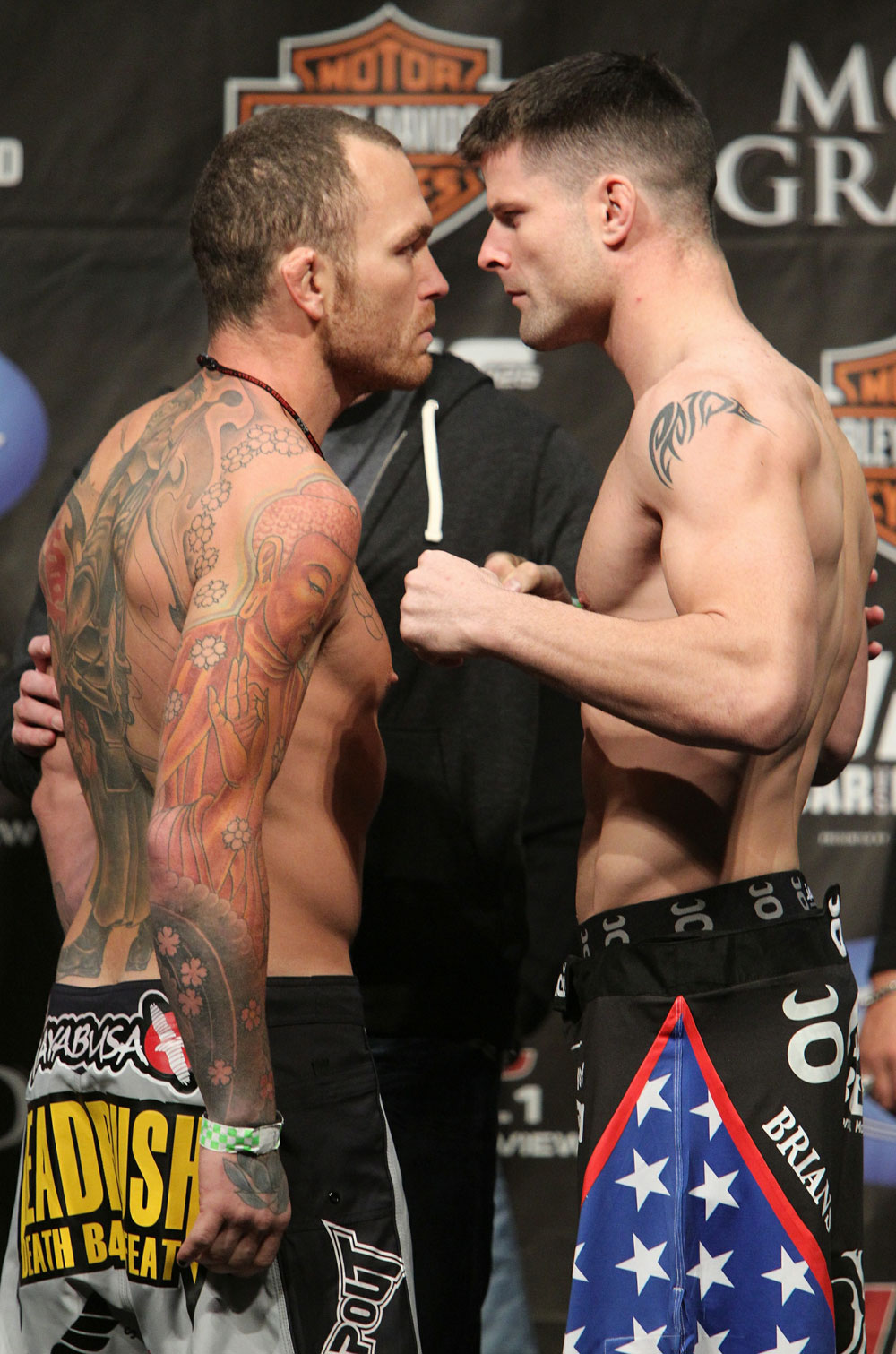 Leben vs. Stann