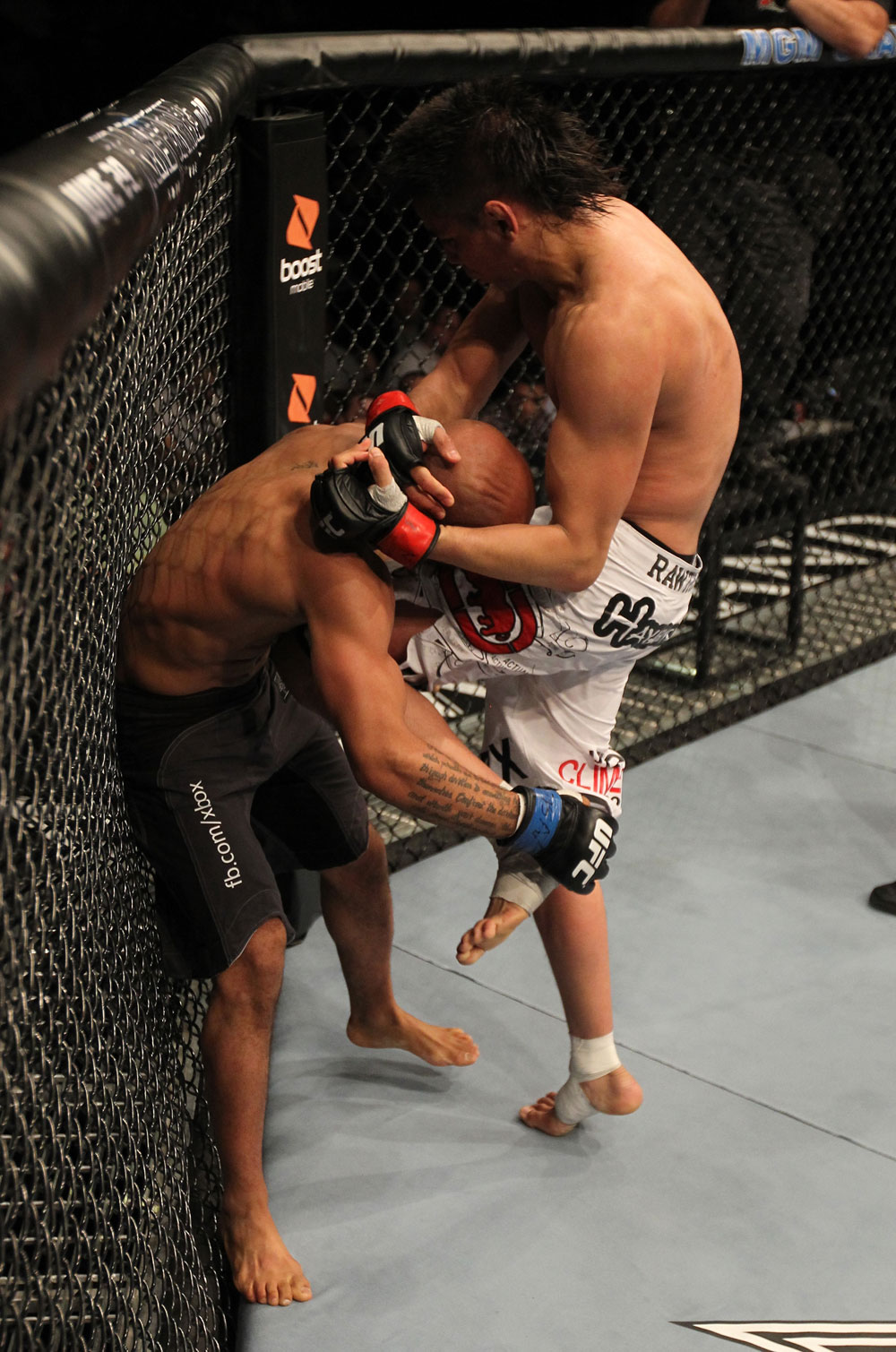UFC 130: Torres vs. Johnson