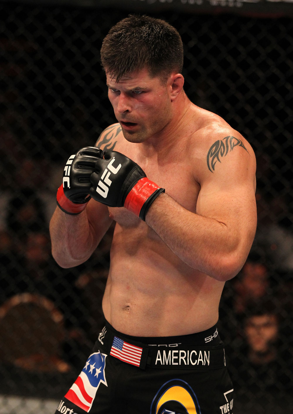UFC 130: Brian Stann