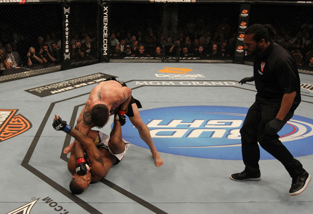 UFC 130: Stann vs. Santiago
