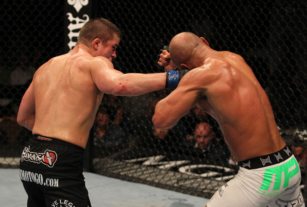 UFC 130: Alves vs. Story