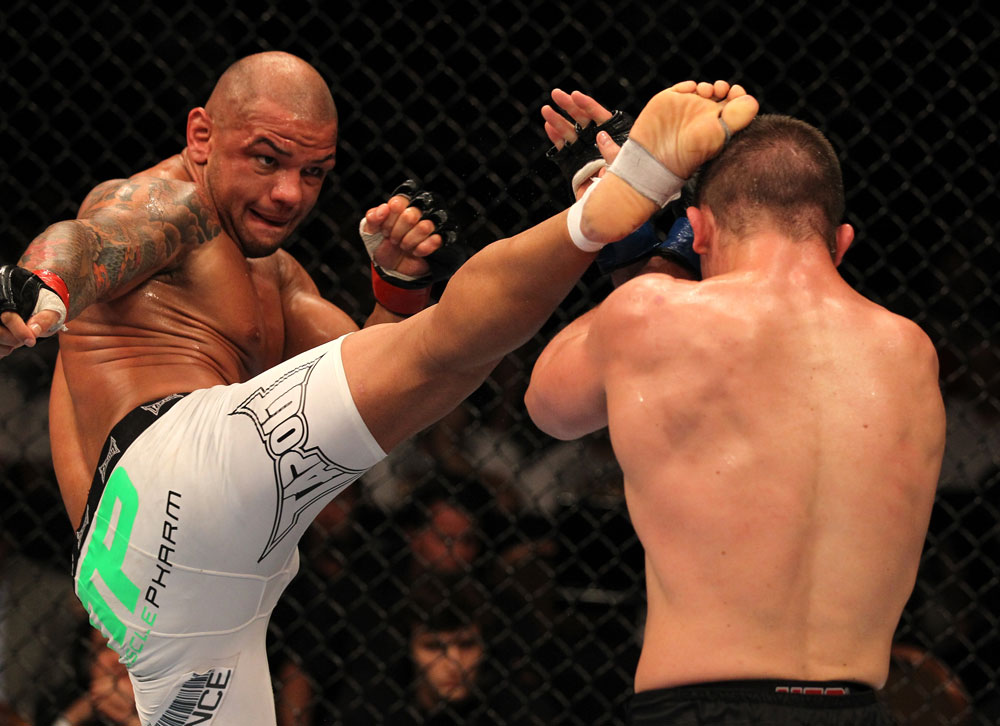 UFC 130: Alves vs. Story