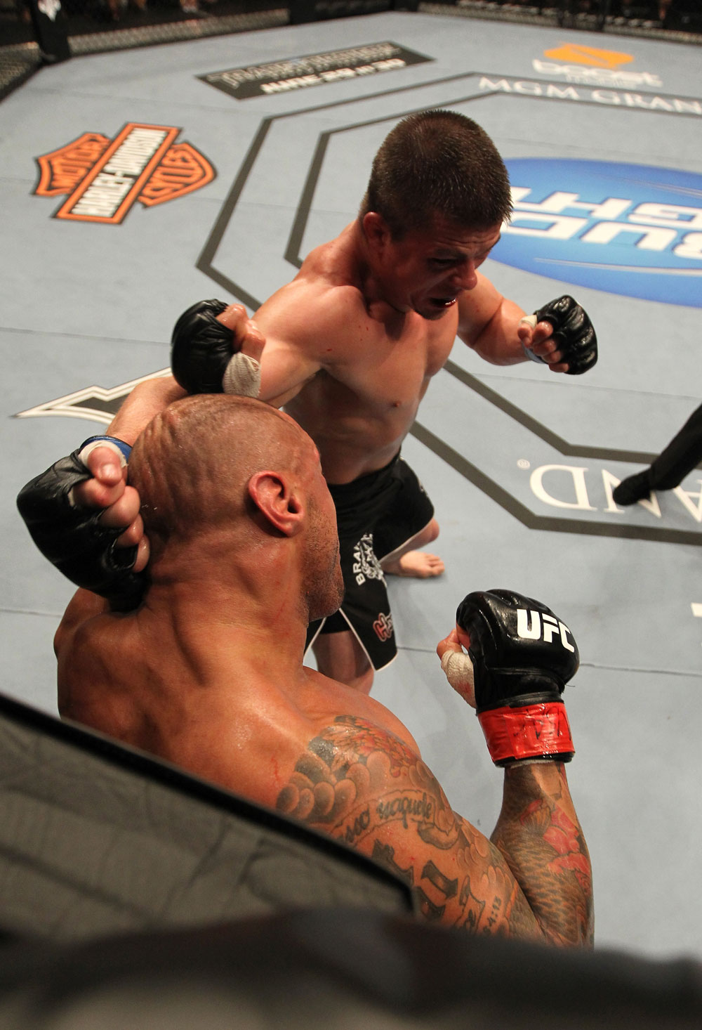 UFC 130: Alves vs. Story