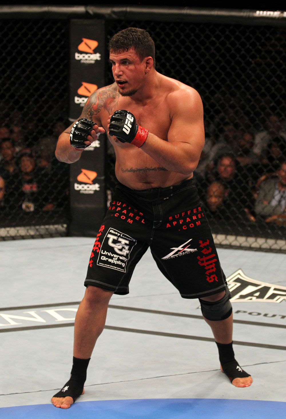 UFC 130: Frank Mir