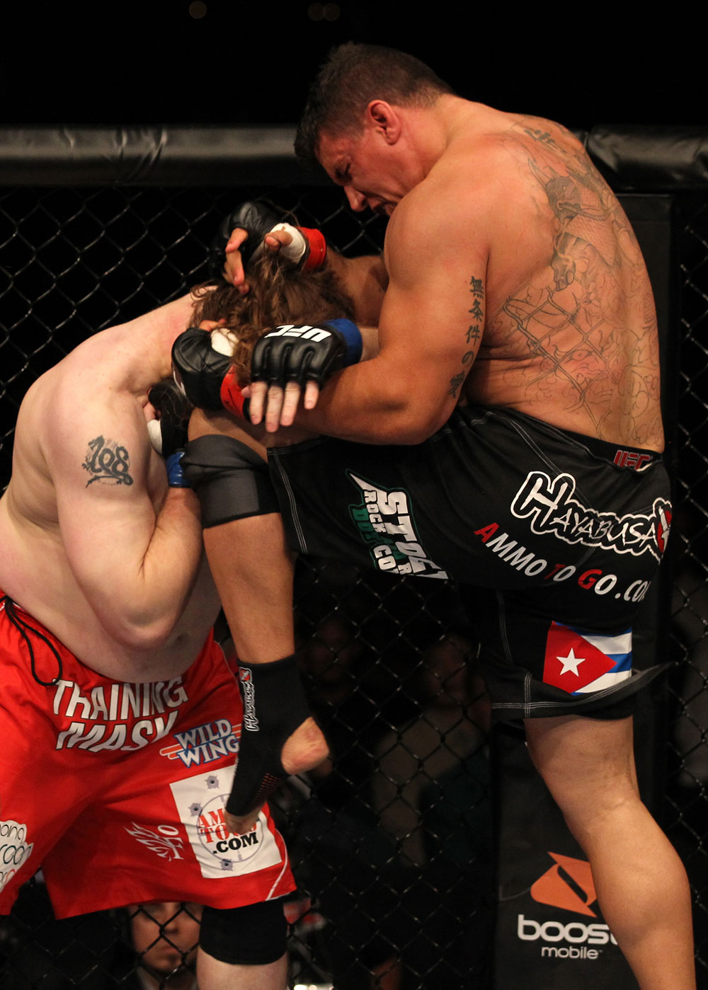 UFC 130: Mir vs. Nelson