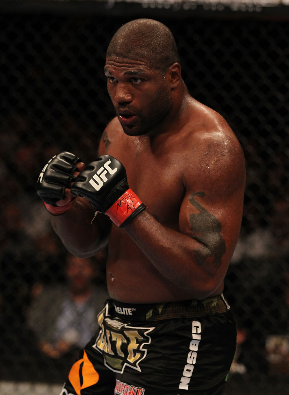 UFC 130: Rampage Jackson