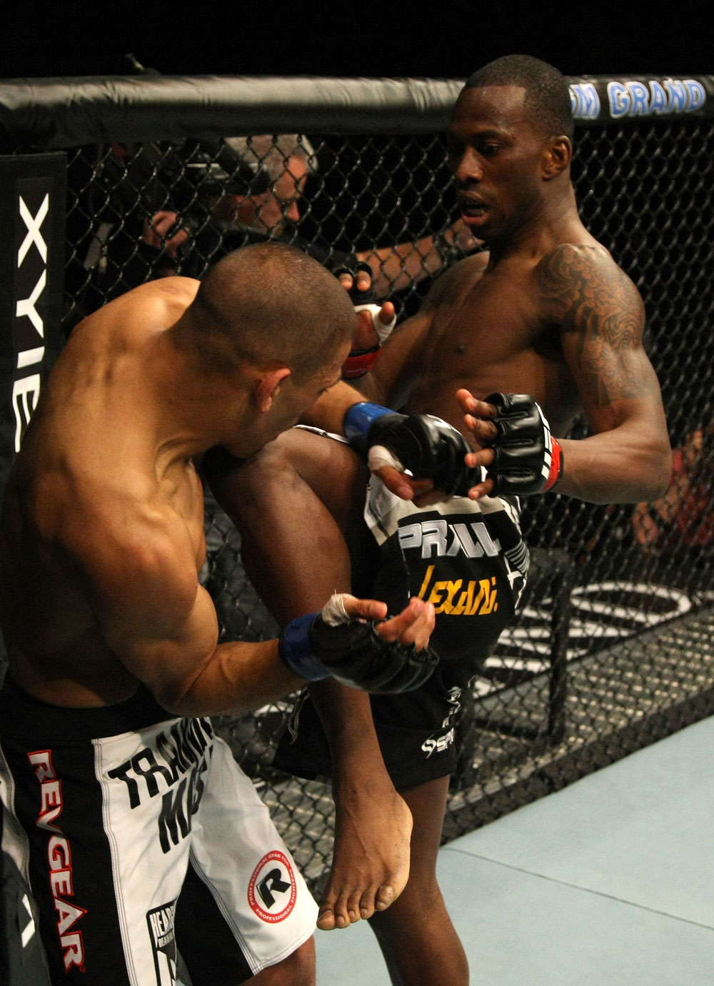 Njokuani vs. Winner