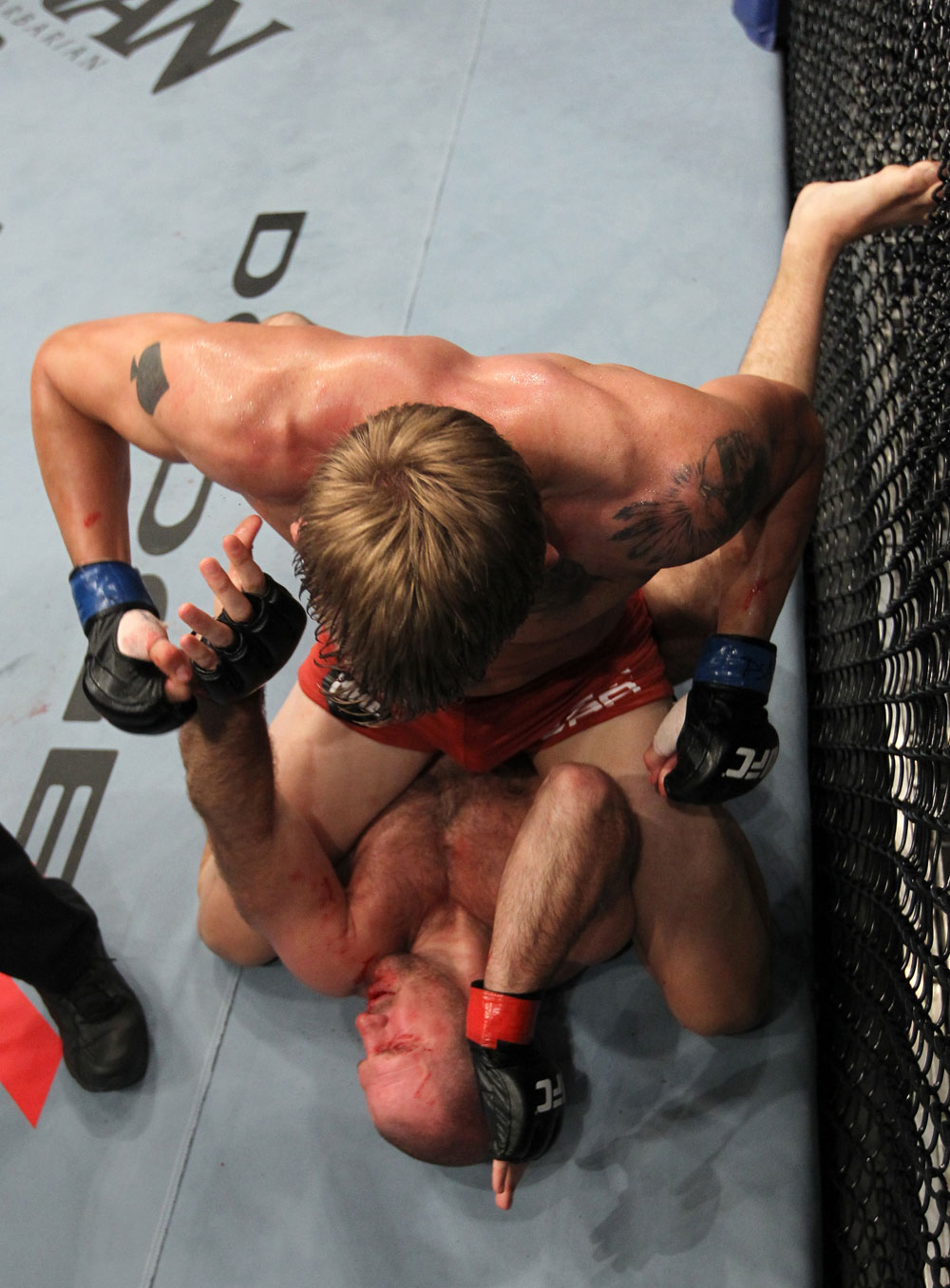 UFC 133: Hamill vs. Gustafsson