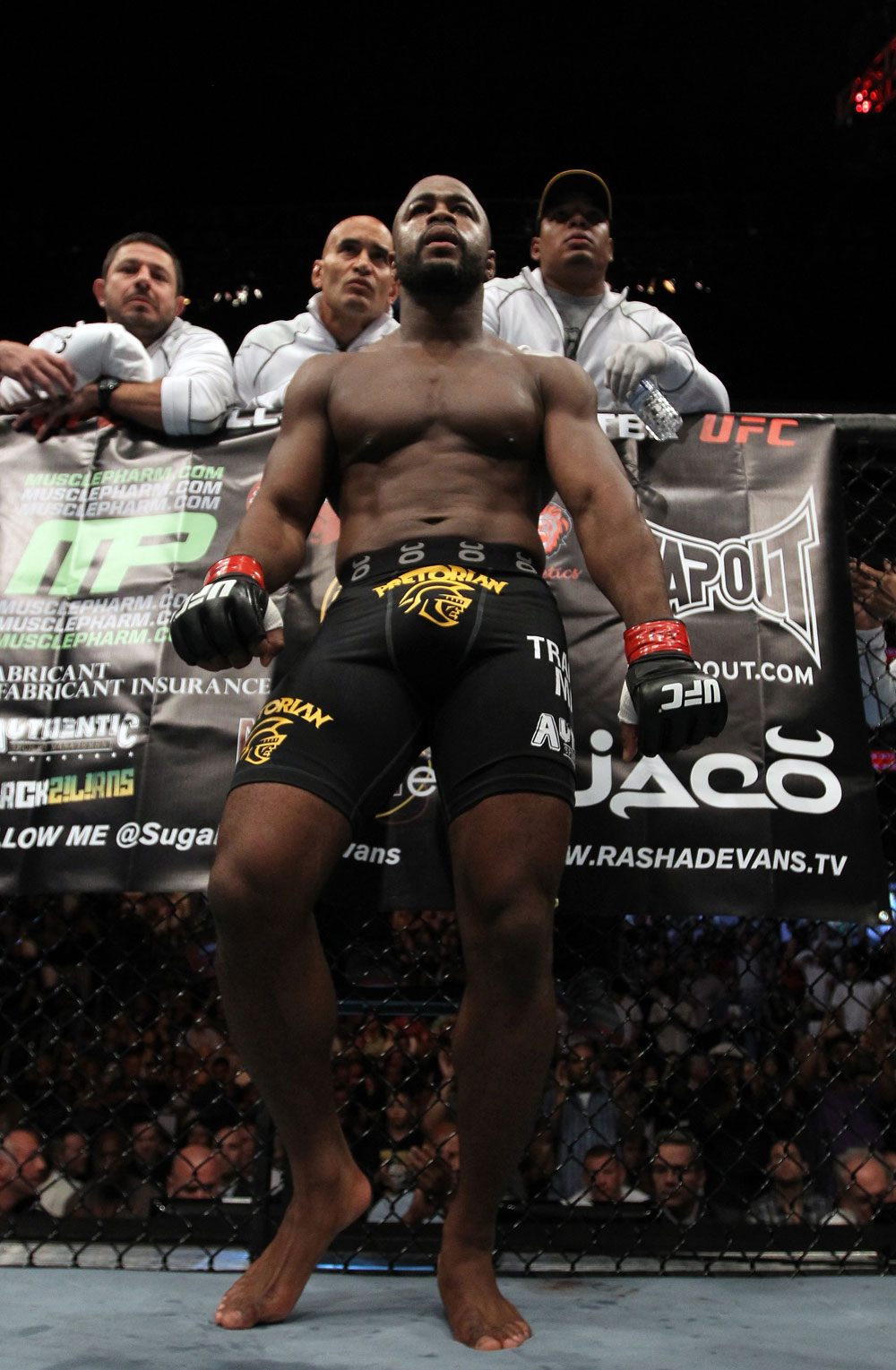 UFC 133: Rashad Evans