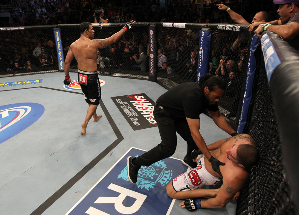Minotauro Nogueira vs Brendan Schaub