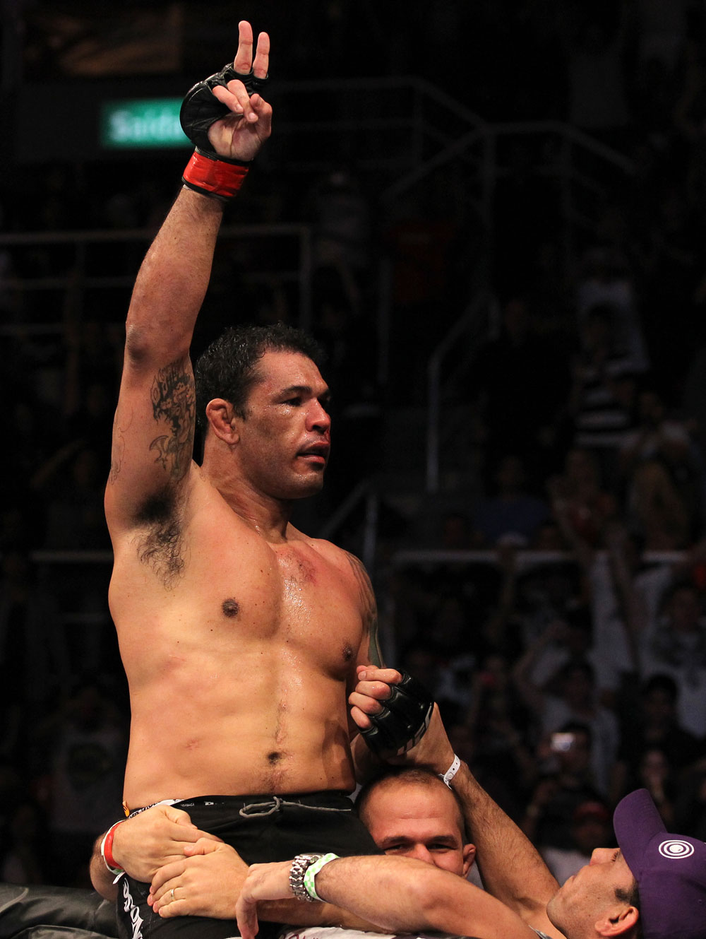 Minotauro Nogueira