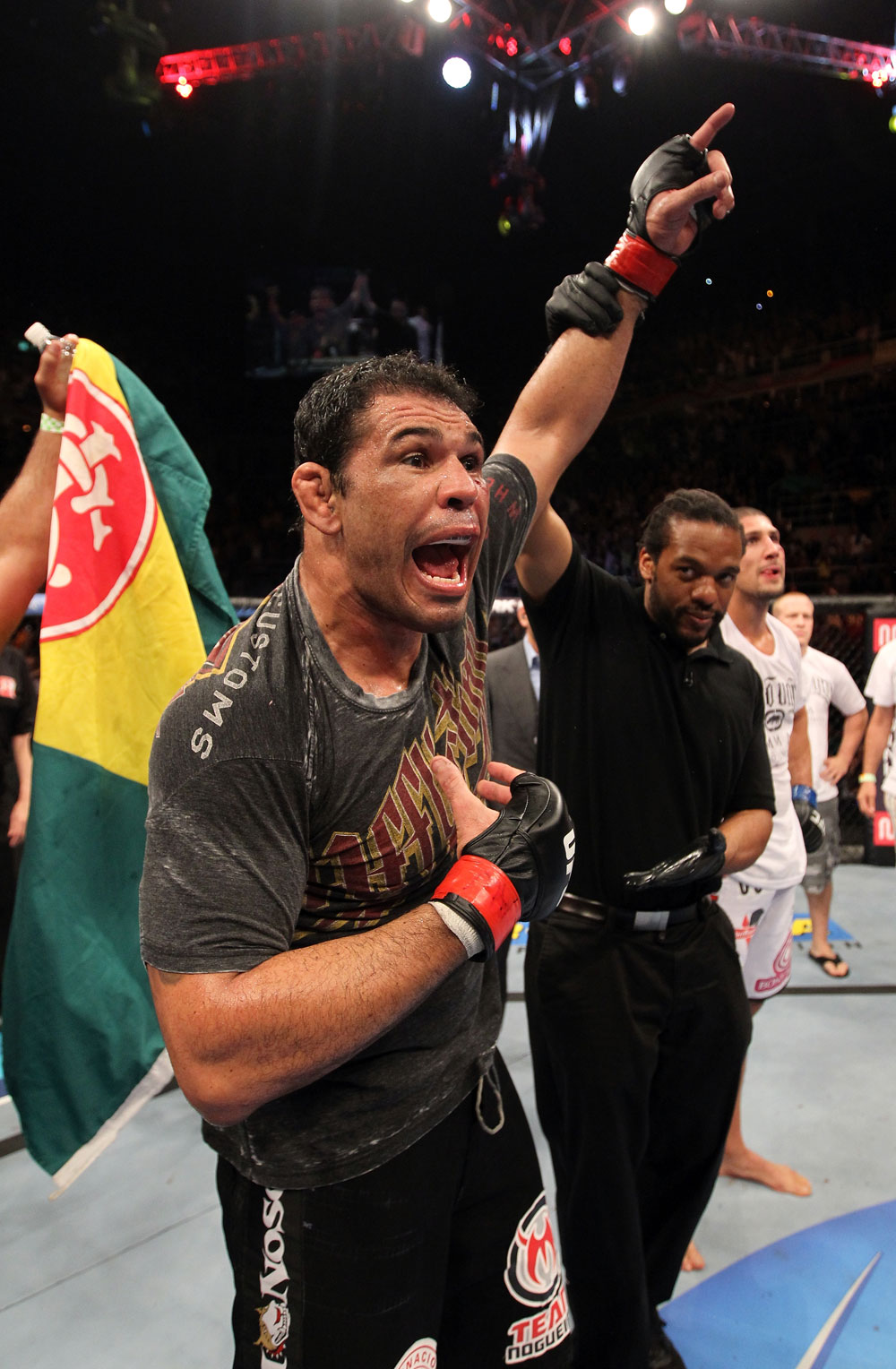Minotauro Nogueira
