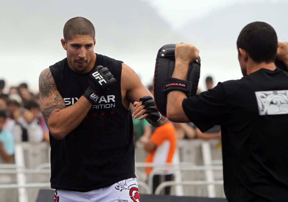 UFC heavyweight Brendan Schaub UFC heavyweight Brendan Schaub
