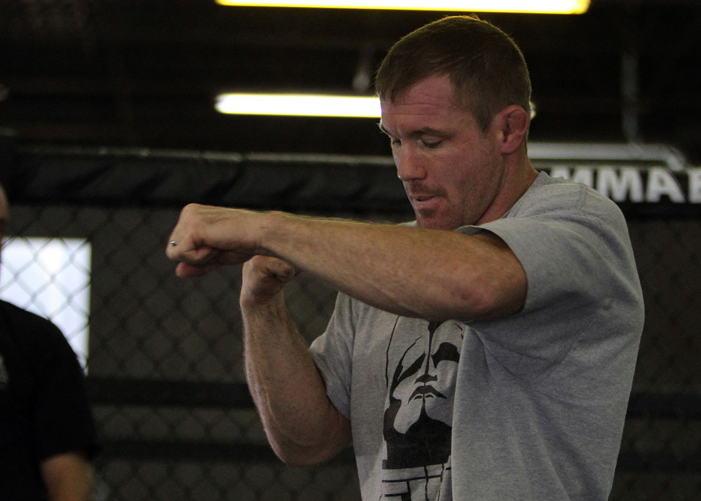 Matt Hughes