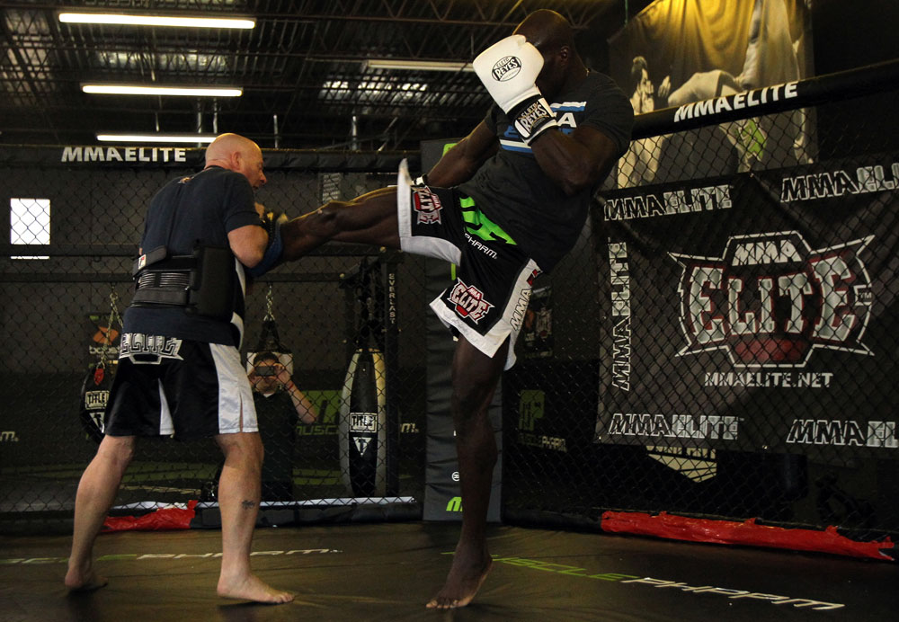 Cheick Kongo